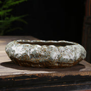 Succulent Green Plants Asparagus Potted Utensils