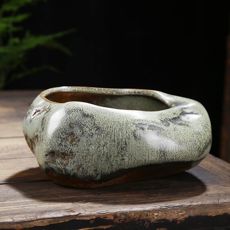Succulent Green Plants Asparagus Potted Utensils