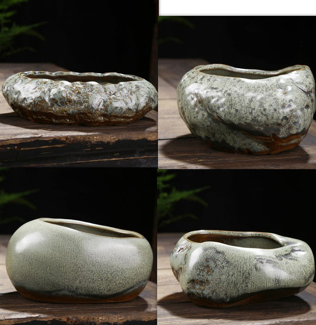 Succulent Green Plants Asparagus Potted Utensils